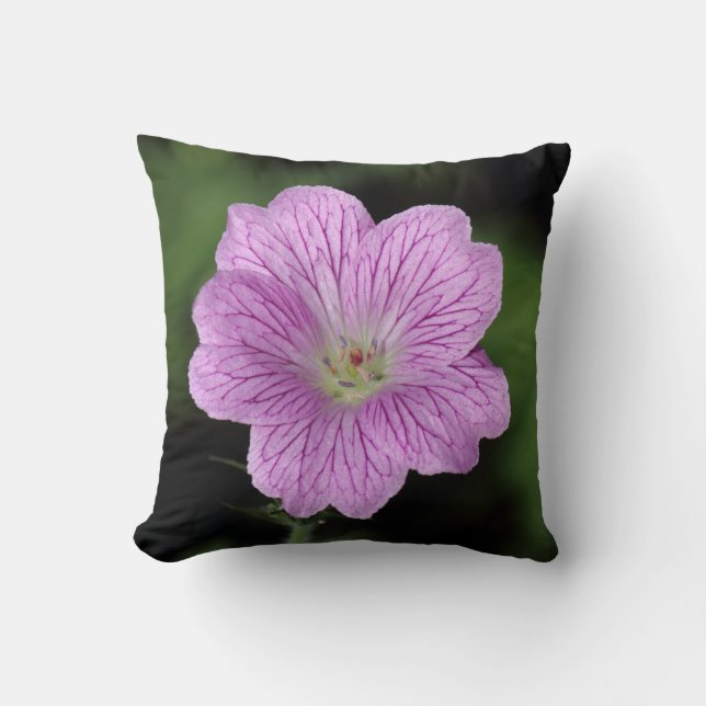 Coussin Geranium Endressii (Recto)