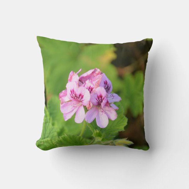 Coussin Géranium rose (Recto)
