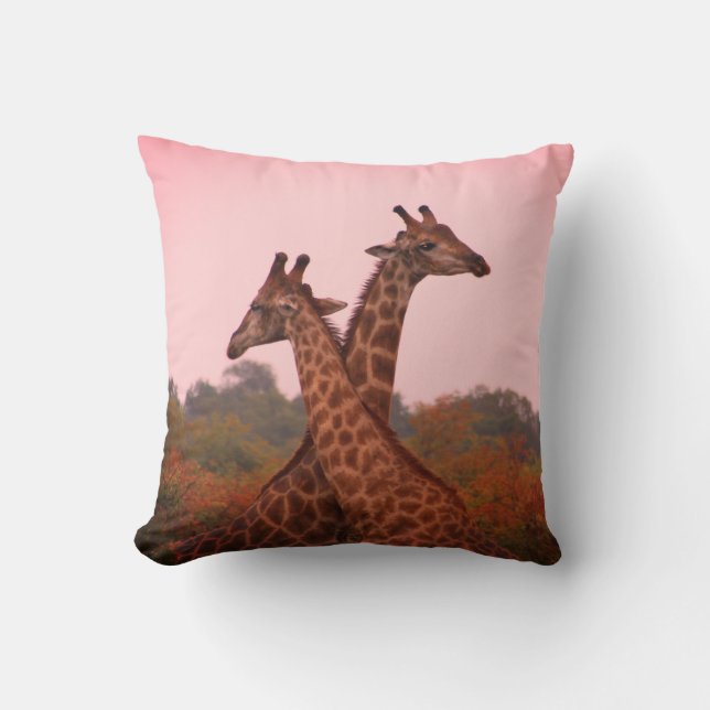 Coussin Girafe au ciel rose et mopani (Recto)