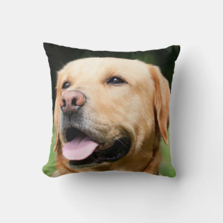 Coussin Golden Lab - L'âme d'un chien