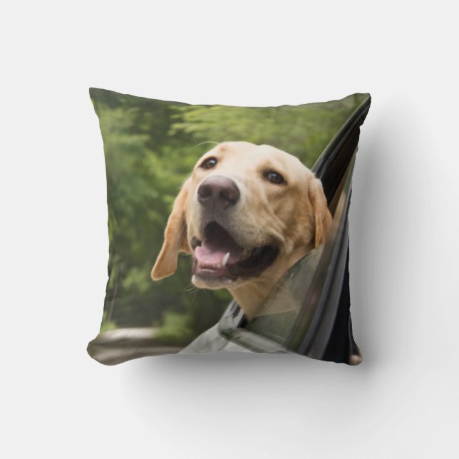 Coussin Golden Labrador In Rearview Mirror (Recto)