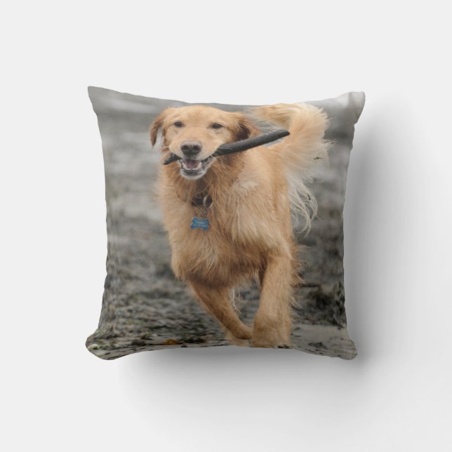 Coussin Golden Retriever Courant Avec Bâton Dans La Bouche (Recto)