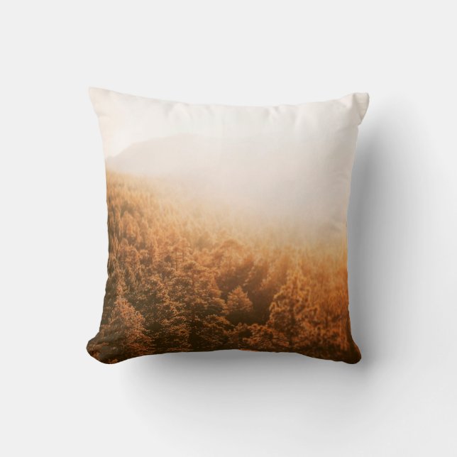 COUSSIN GOLDEN SUN OVER A FOREST (Recto)
