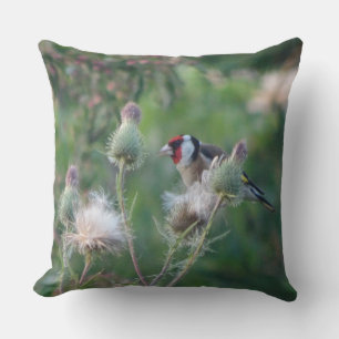 Coussin Goldfinch coloré sur l'oreiller à chardon