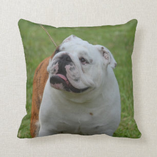 Coussin Grand bouledogue