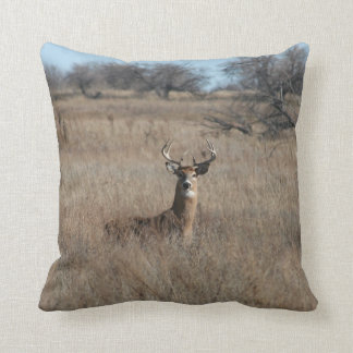 Coussin Grand carreau 20" de cerfs communs de mâle de