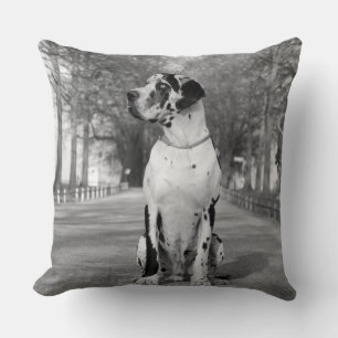 Coussin Grand Danois Pillow