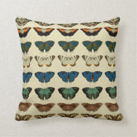 Grande collection de papillons