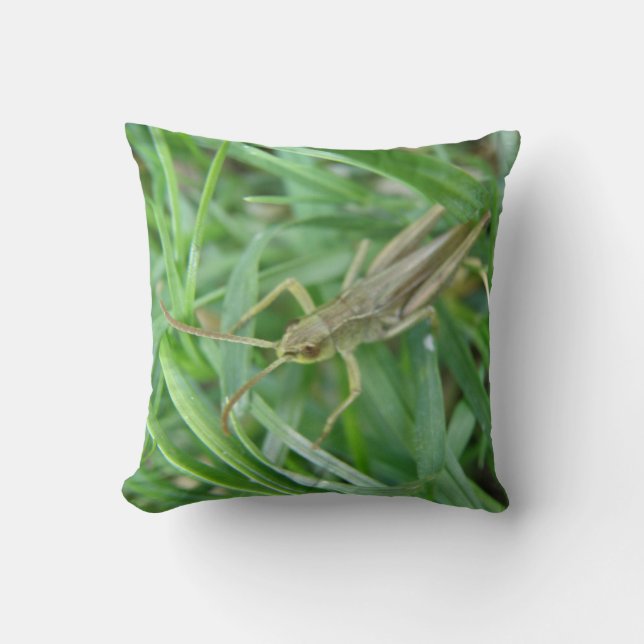 Coussin Grasshopper (Recto)