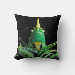 Coussin Grasshopper à tête de cône