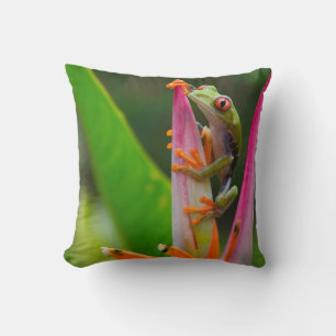 Coussin Grenouille aux yeux rouges, Costa Rica
