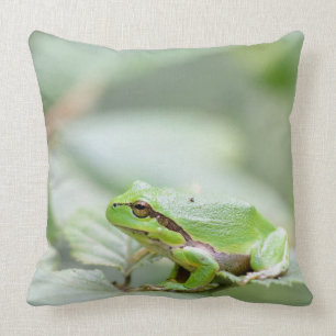 Coussin Grenouille d'arbre européenne dans le carreau vert