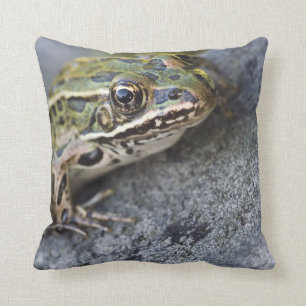 Coussin grenouille léopard du Nord, île de la voie maritim