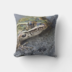 Coussin Grenouille léopard du nord, Île transparente,