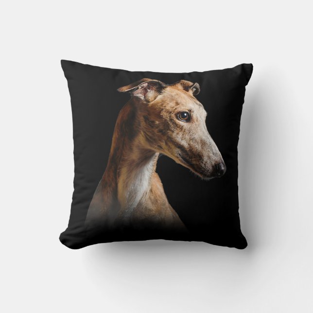 Coussin Grisons de la face grisâtre (Recto)