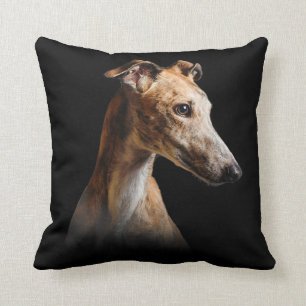 Coussin Grisons de la face grisâtre