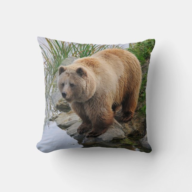 Coussin Grizzly Oear Wildlife Animal Photographie (Recto)