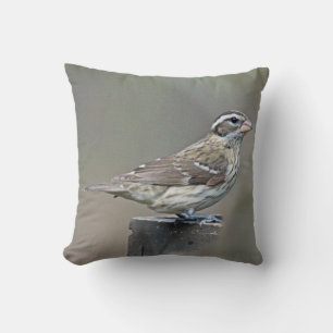 Coussin Grosbeak femelle rose