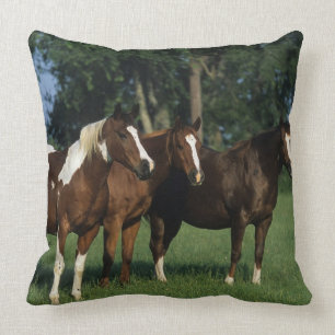 Coussin Groupe de position de chevaux de peinture