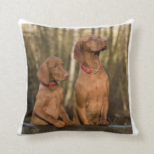 Coussin groupe de vizsla