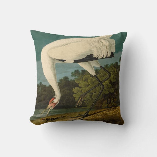 Coussin Grue blanche Audubon Peinture d'oiseaux (Recto)