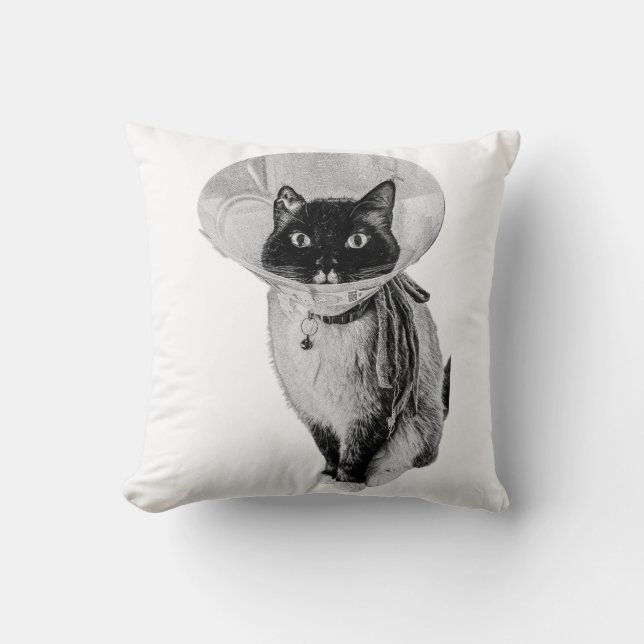 Coussin Guerrier fouetté (Recto)