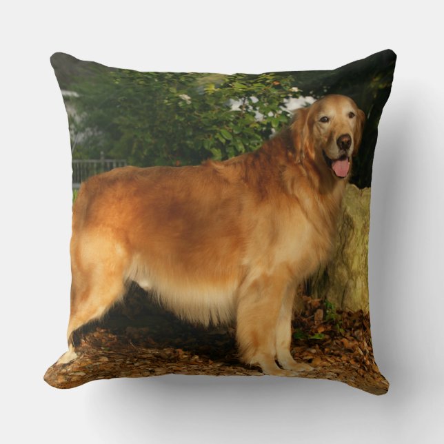 Coussin Halètement de golden retriever (Recto)