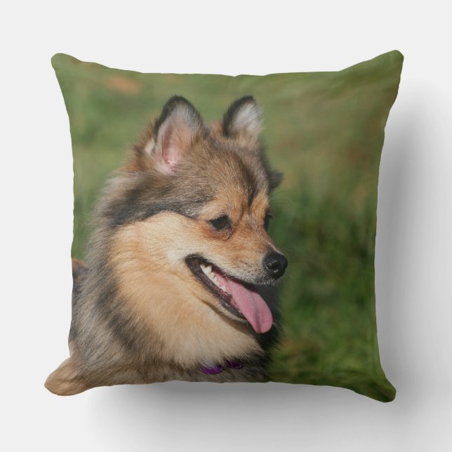 Coussin Halètement de Headshot de Pomeranian (Recto)
