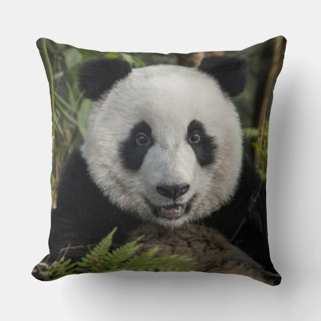 Coussin Happy young panda (Recto)