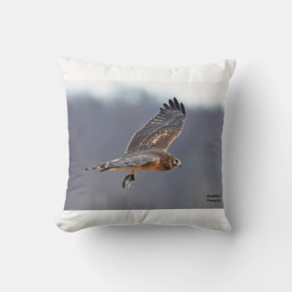 Coussin Harrier du Nord