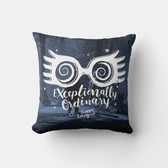 Coussin Harry Potter | particulièrement ordinaire (Recto)