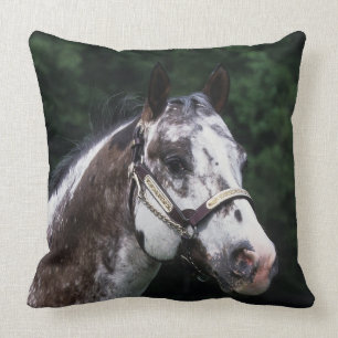 Coussin Headshot 2 de cheval d'Appaloosa