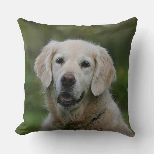 Coussin Headshot 2 de golden retriever (Recto)