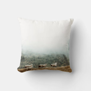 COUSSIN HERBE DE MOUCHE SUR LE CHAMP BROWN EN PLEIN JOUR