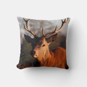 COUSSIN HI DEER