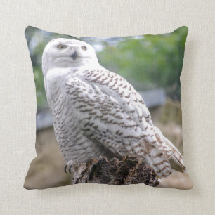 Coussin Hibou des neiges