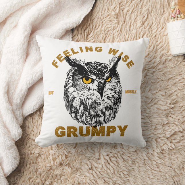 Coussin Hibou, sensé mais surtout grincheux (Couverture)