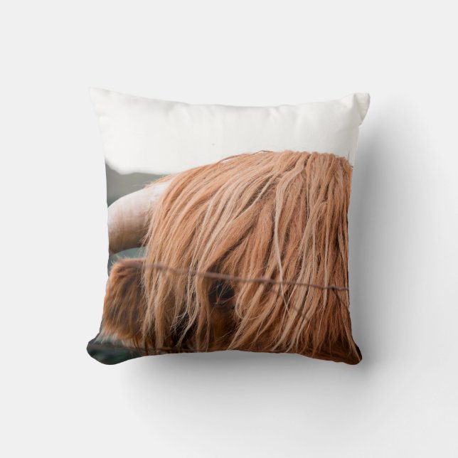 COUSSIN HIGHLAND KING (Recto)