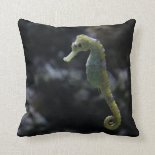 Coussin Hippocampe