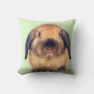 Coussin Holland Lop