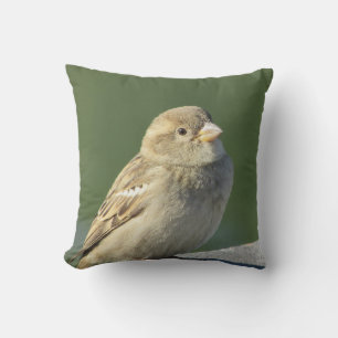 Coussin House Sparrow Photo Petit oiseau Brown Nature sauv