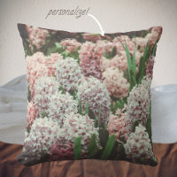 Hyacinthe rose et violet dans le jardin du printem
