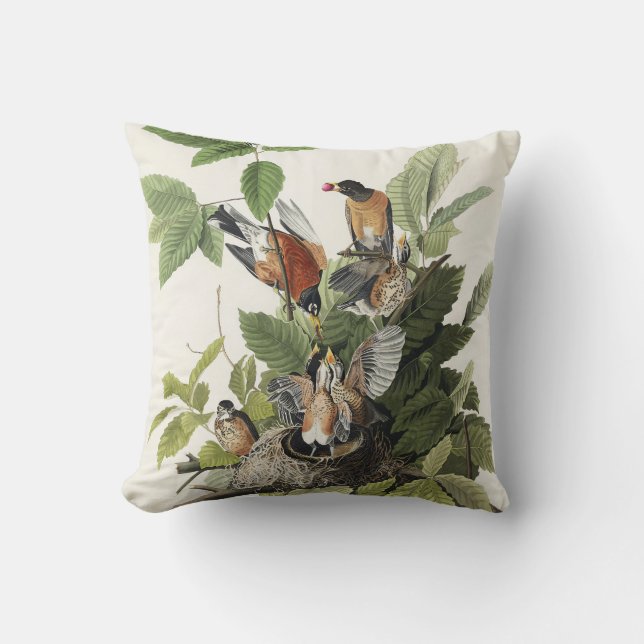 Coussin Illustration Audubon American Spring Robin Bird (Recto)