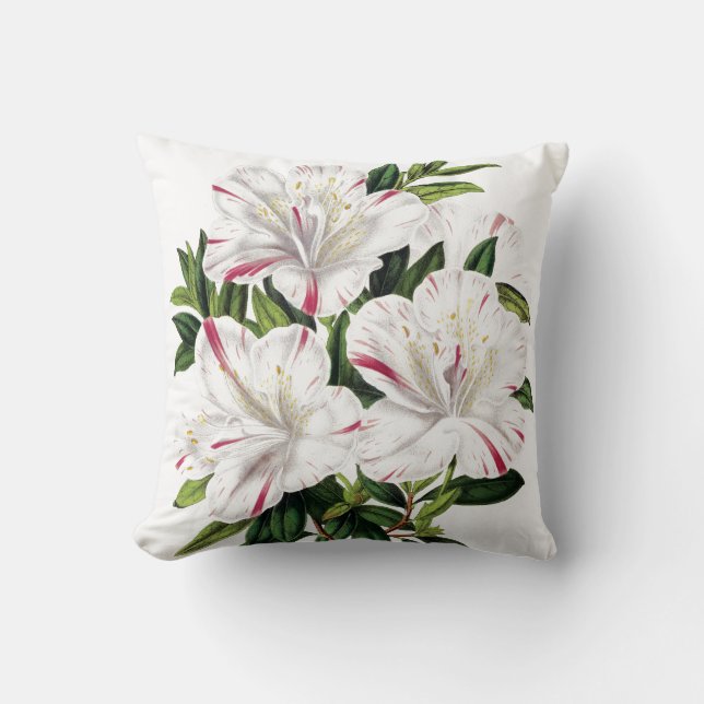 Coussin Illustration de cru d'azalées (Recto)