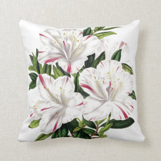 Coussin Illustration de cru d'azalées