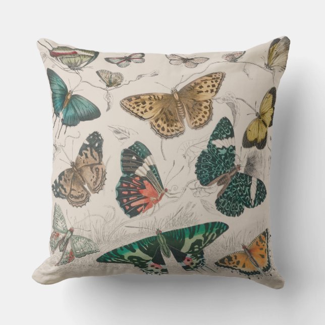 Coussin Illustration de papillon antique : 1820 Orfèvre (Recto)