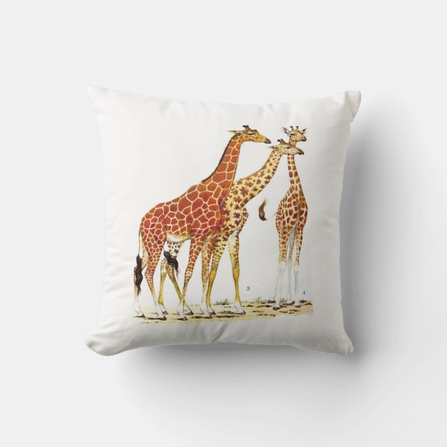 Coussin Illustration de trois girafes (Recto)