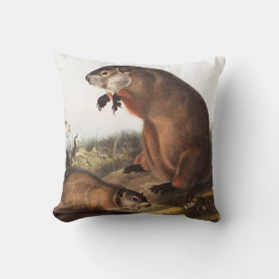 Coussin Illustration de Woodchuck (Arctomys monax)