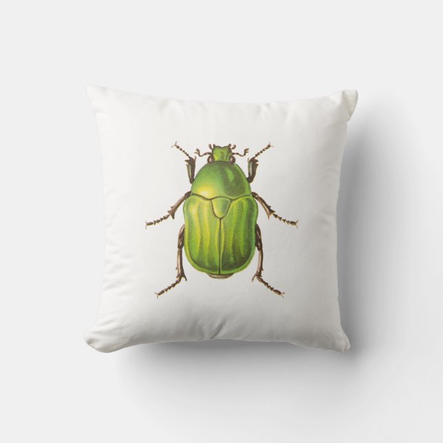 Coussin Illustration verte vintage de scarabée (Recto)