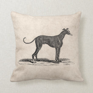 Coussin Illustration vintage de chien de lévrier de 1800s